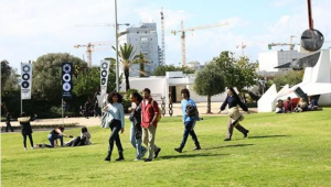 תמונת אווירה